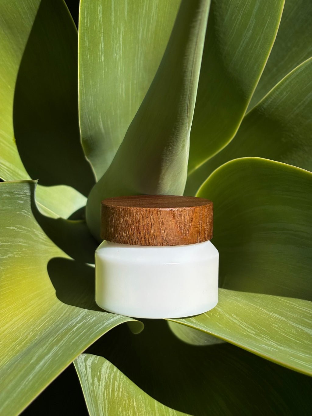 Crème visage • Signature